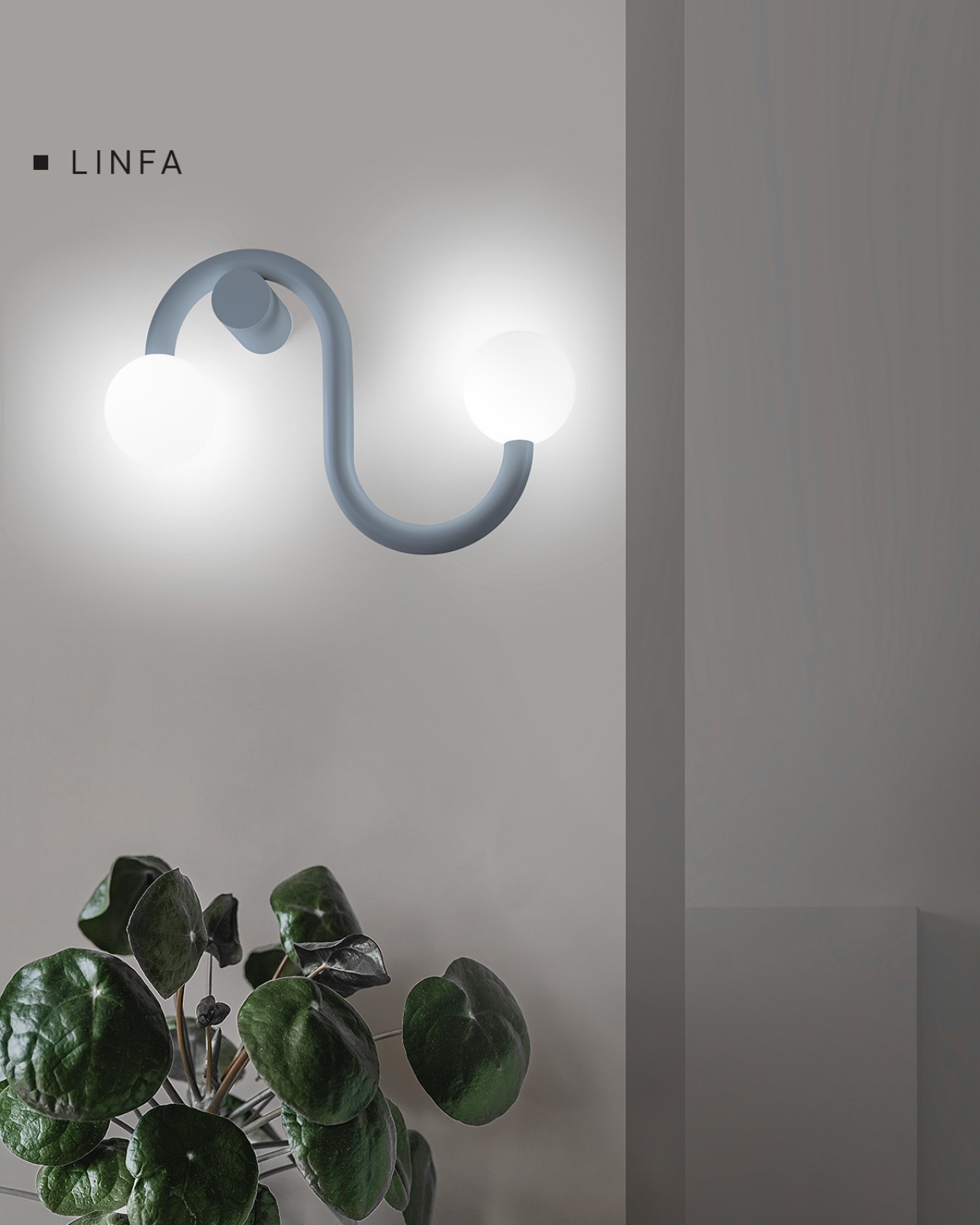Linfa. 