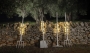 Leds C4 - Tobia